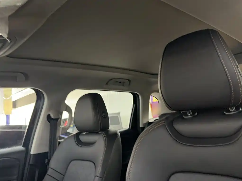 Haval Big Dog 2024 1.5T DCT Border Collie Edition фото 15
