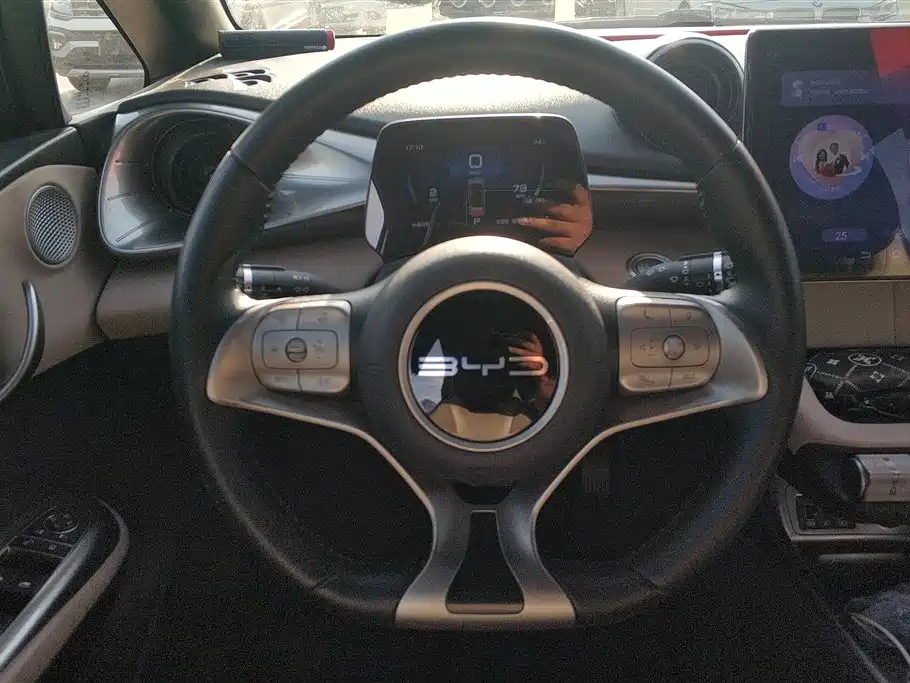 BYD Dolphin 2024 Glory Edition 420km Freedom Edition фото 15