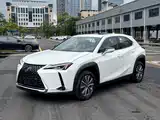 Фото 1 - Lexus UX Electric
