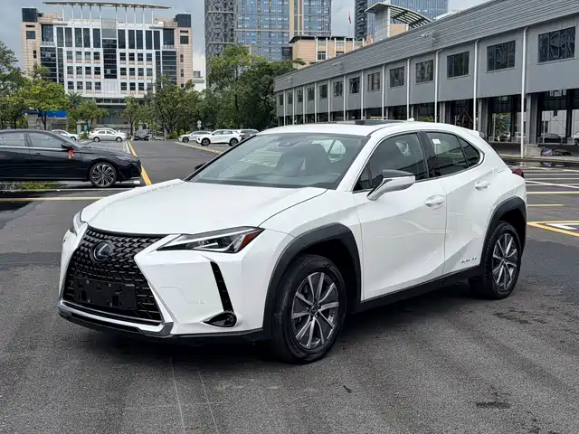  Lexus Lexus UX Electric 2020 300e Pure Yue Edition