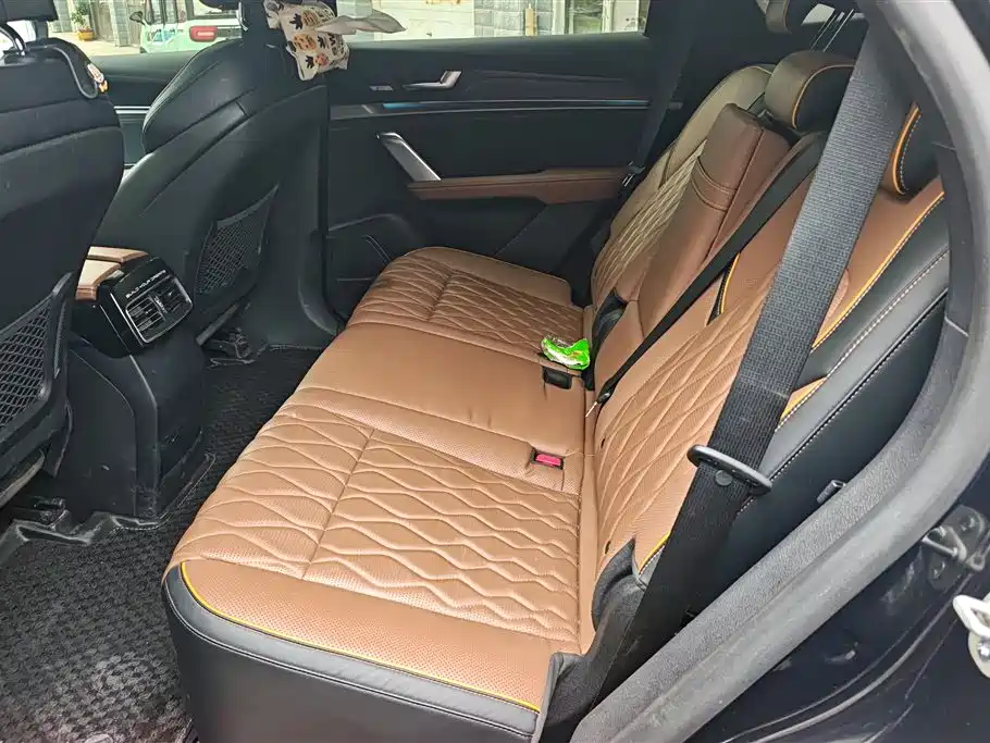 BYD Tang New Energy 2021 DM-i 112KM Honor фото 11