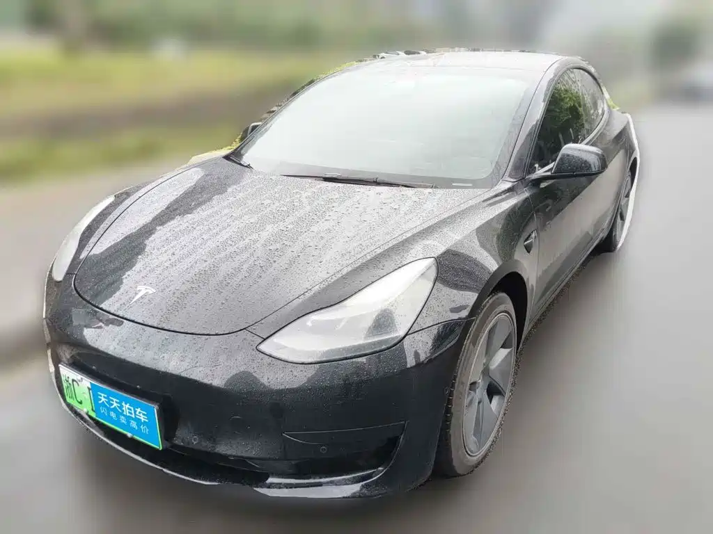 Tesla Model 3 2021 Standard Range Rear-Wheel Drive Upgrade 3D6