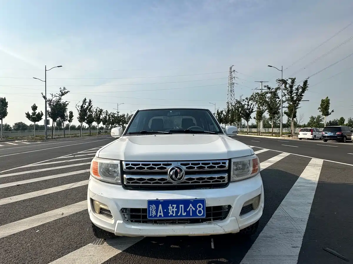 Dongfeng Ruiqi 2017 2017 2.5T Diesel 2WD Luxury ZD25T5