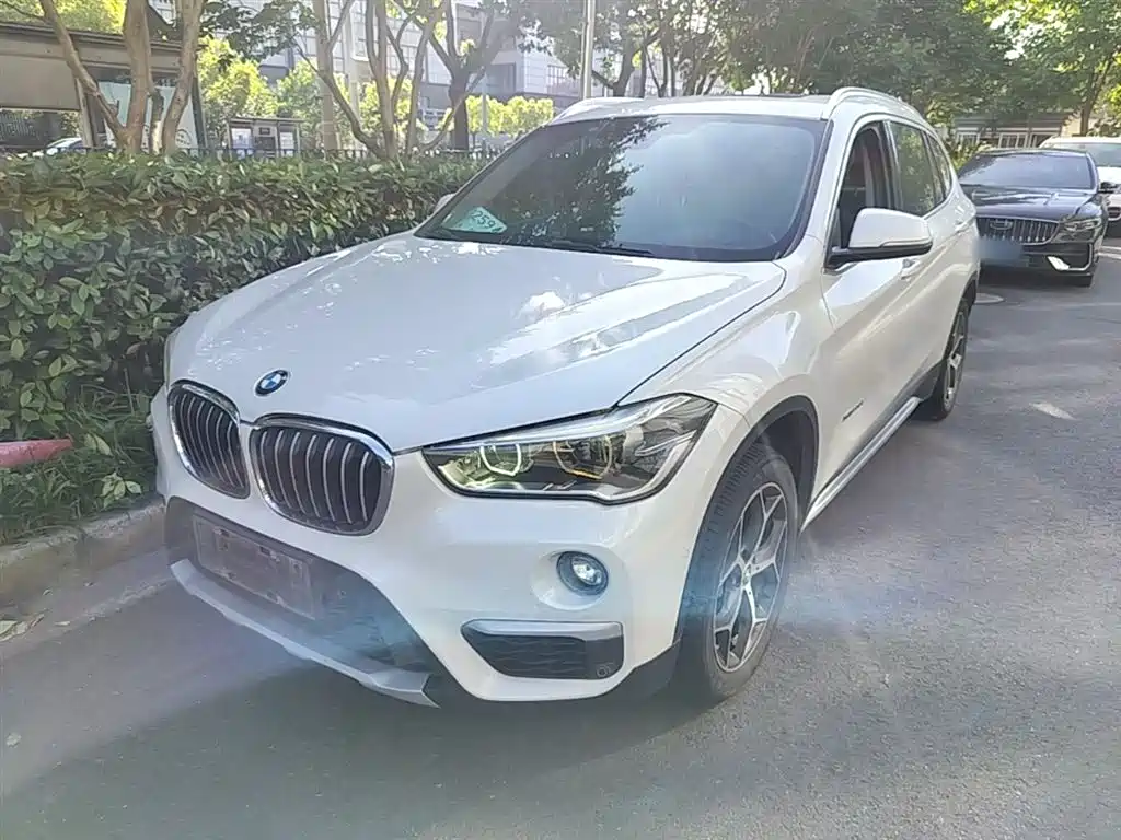 BMW X1 2016 xDrive20Li Luxury Model фото 2