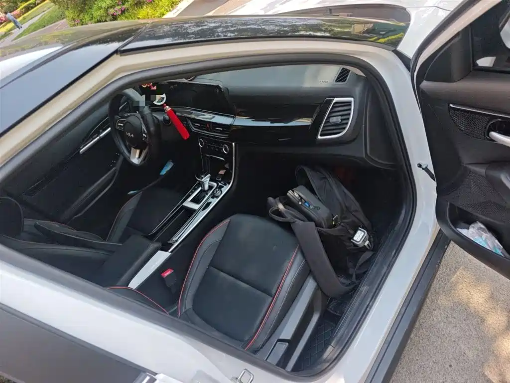 Kia Seltos 2023 1.5L CVT Luxury Edition фото 20