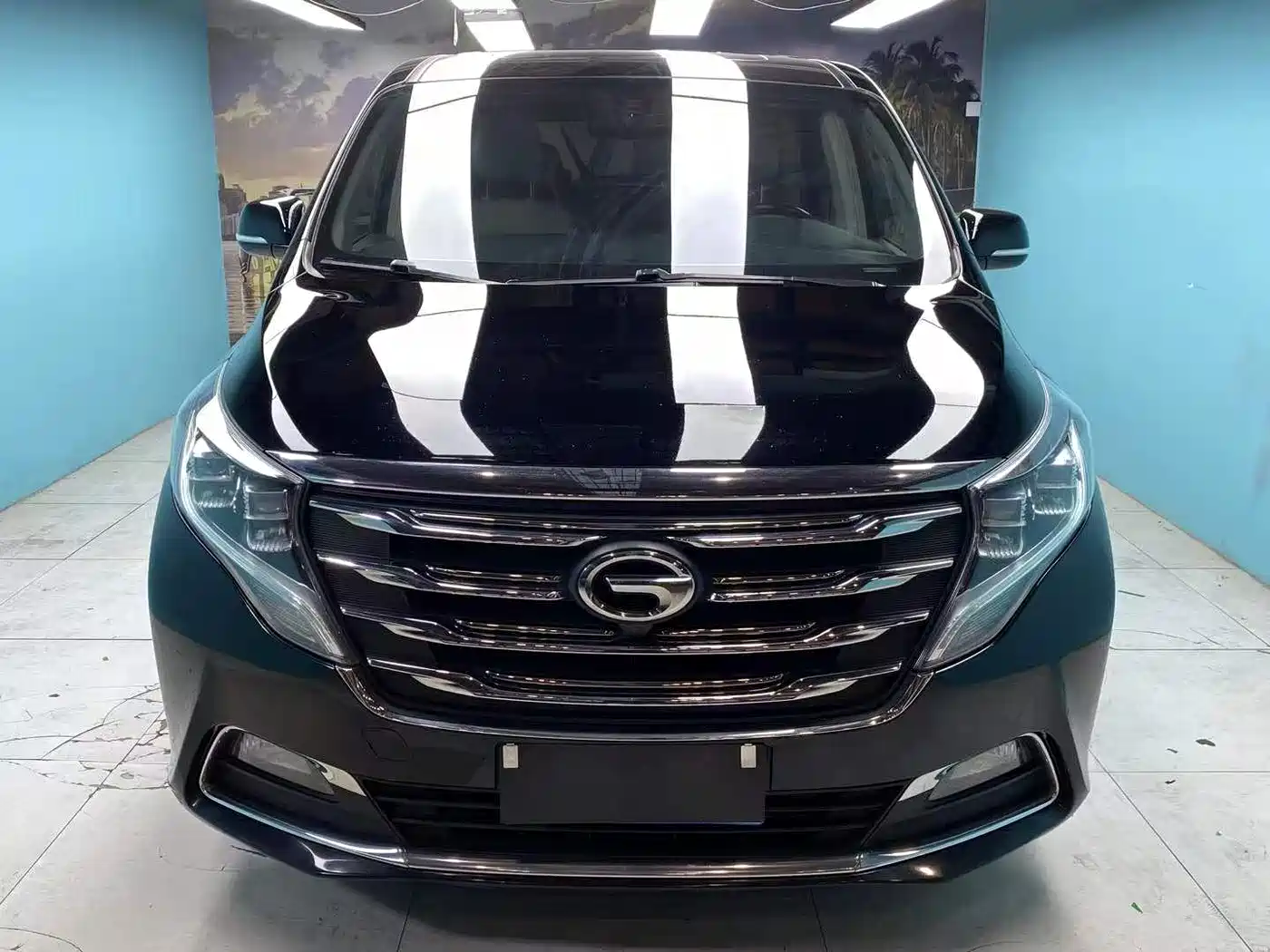 GAC Trumpchi Trumpchi M8 2018 320T Premium Edition фото 3