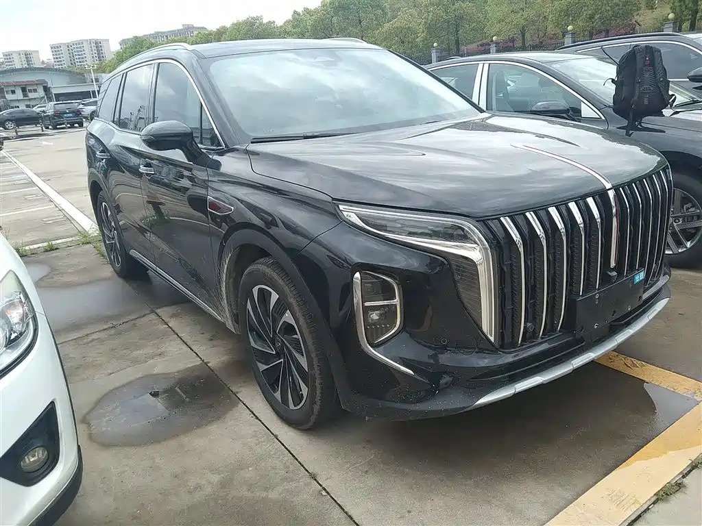 Hongqi HS7 PHEV 2024 2.0T PHEV 4WD Flagship Edition 6-seater фото 4
