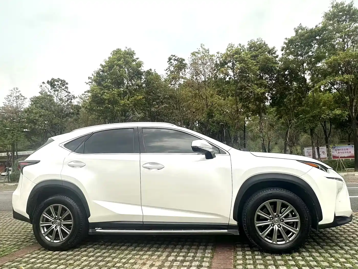 LEXUS NX