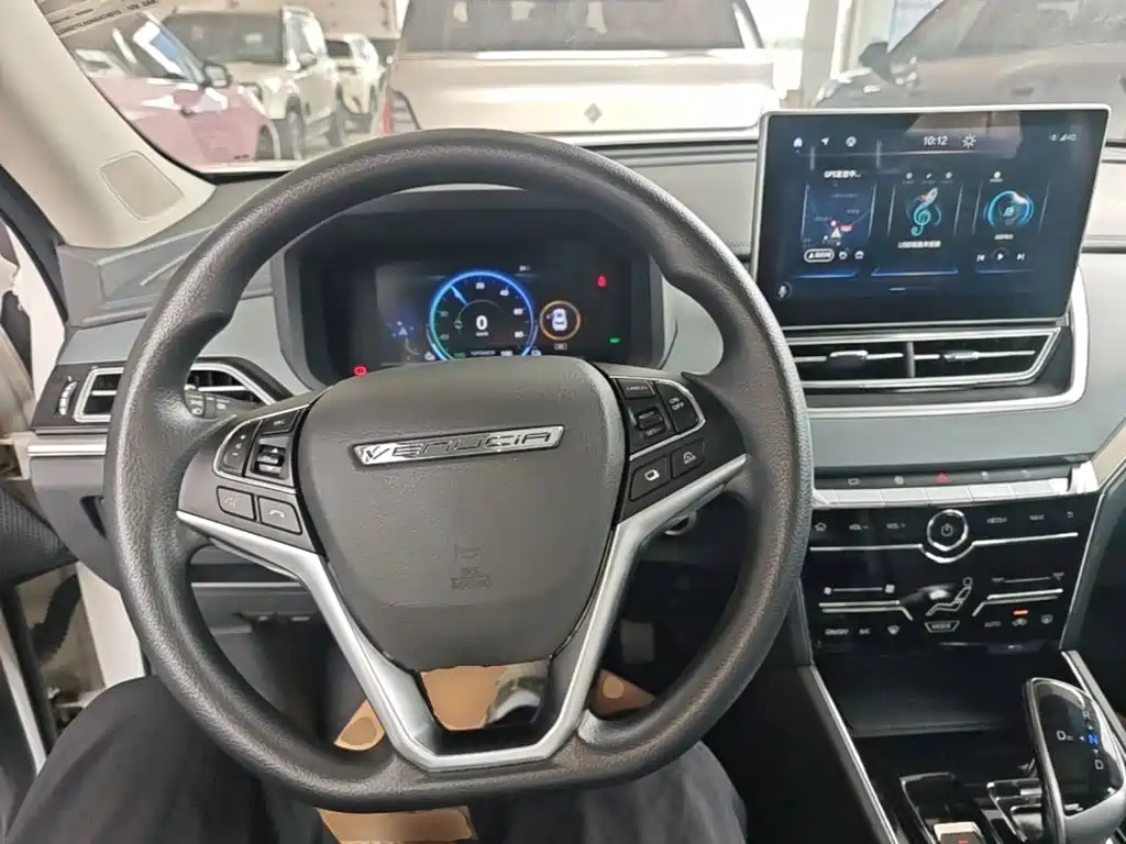 Venucia T60EV 2024 2023 Smooth Ride Edition