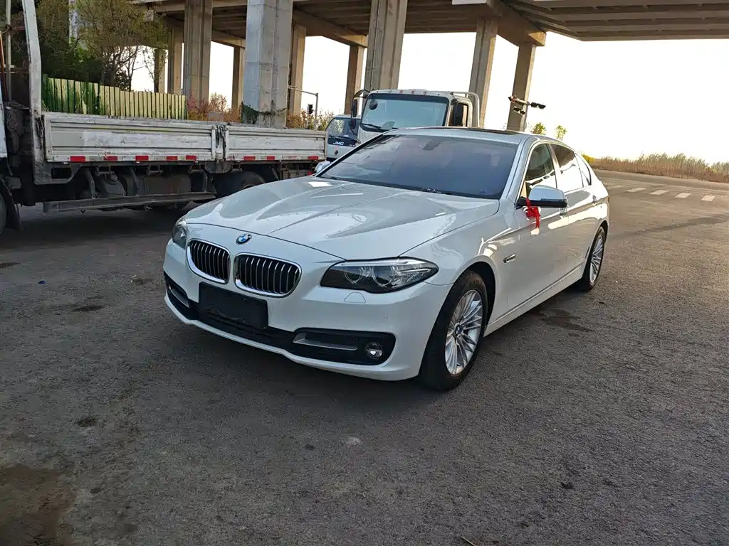 BMW 5 Series 2014 525Li Leading фото 2