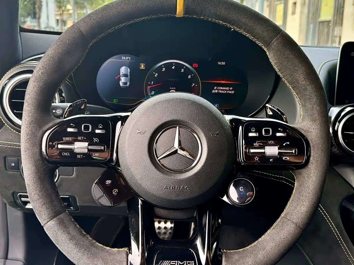 Mercedes-Benz AMG GT 2019 AMG GT R фото 6