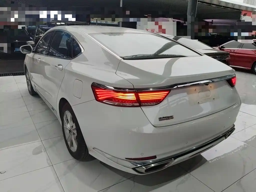 Фото 23 - Geely Borui