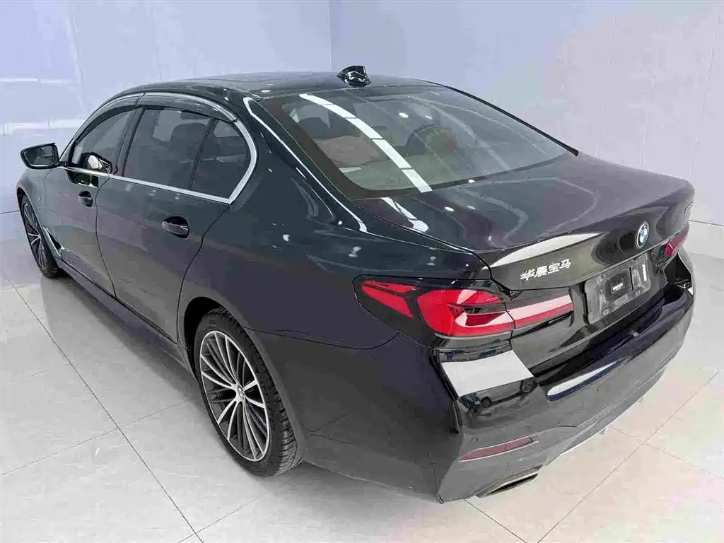 BMW 5 Series 2020 Model 530Li Executive M Sport Package фото 3