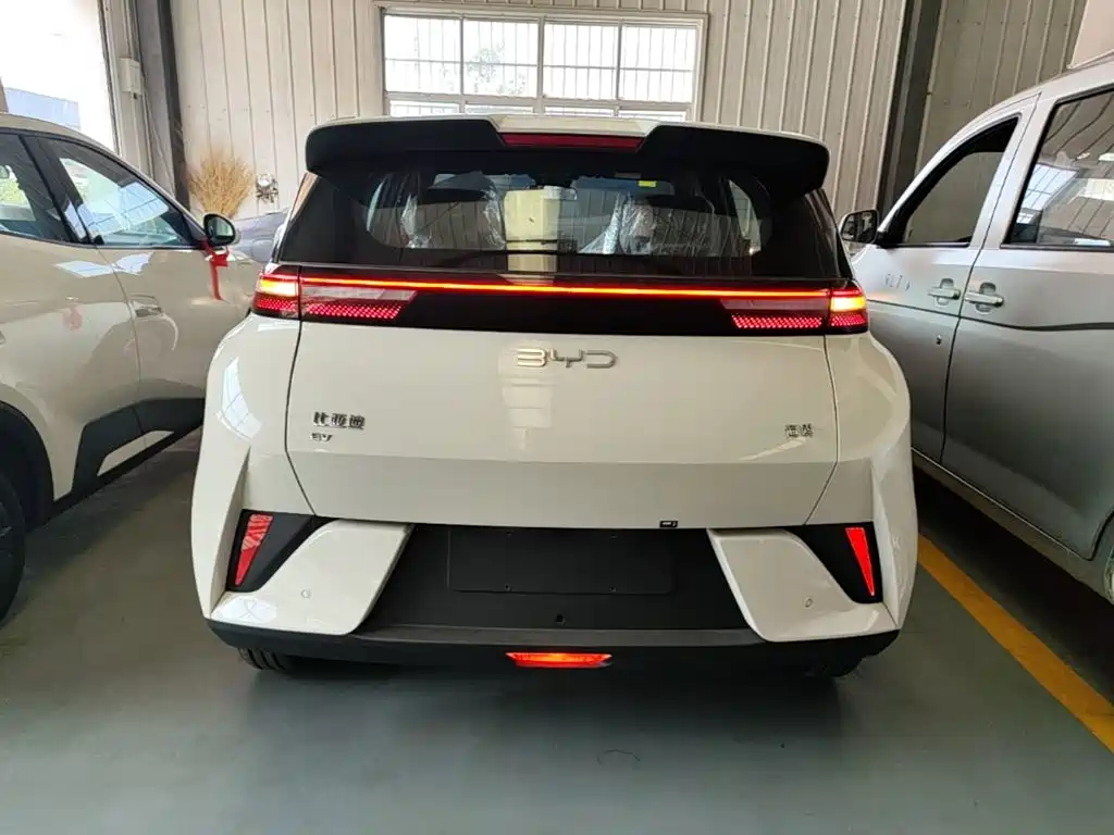 BYD Seagull 2026 2025 Smart Drive Edition 305km Vitality Version
