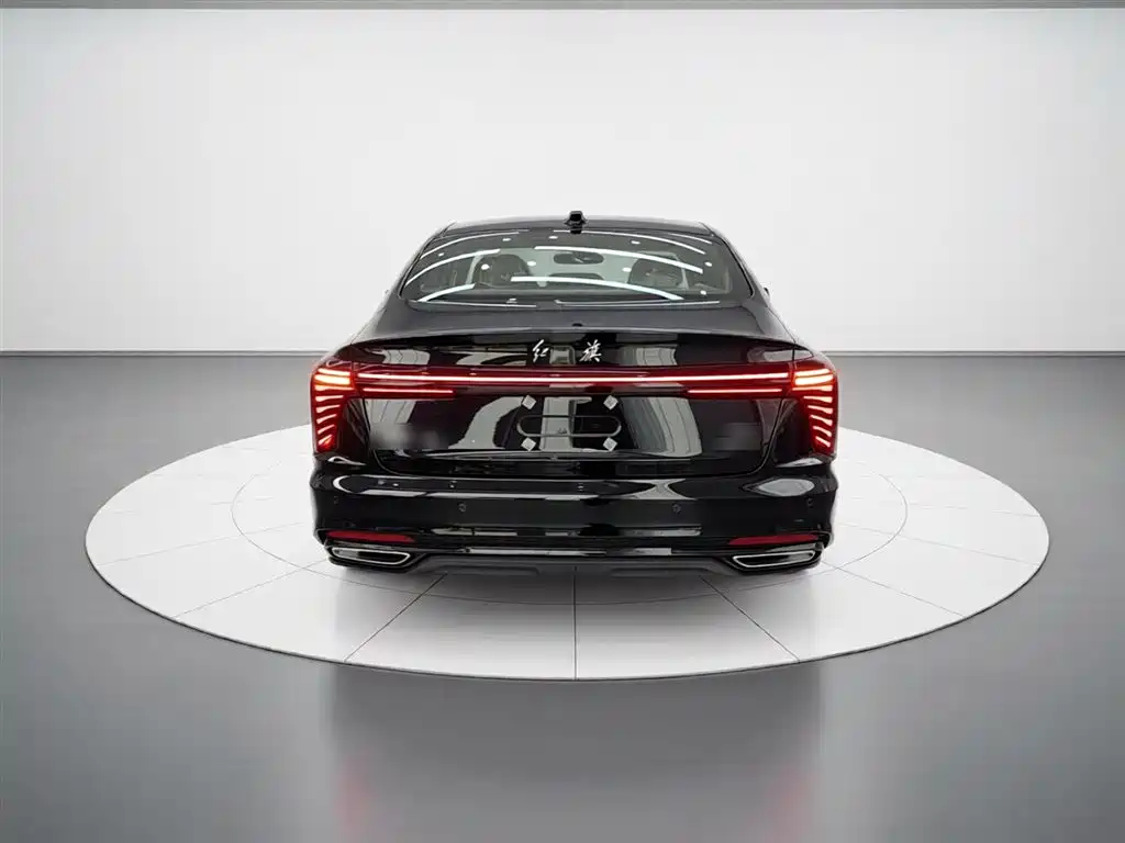 Hongqi H5 2025 2.0T Automatic Mystic Shadow 2 Million Edition фото 4