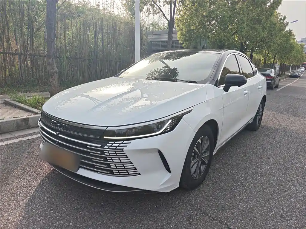 BYD Destroyer 05 2023 Champion Edition DM-i 55KM Premium