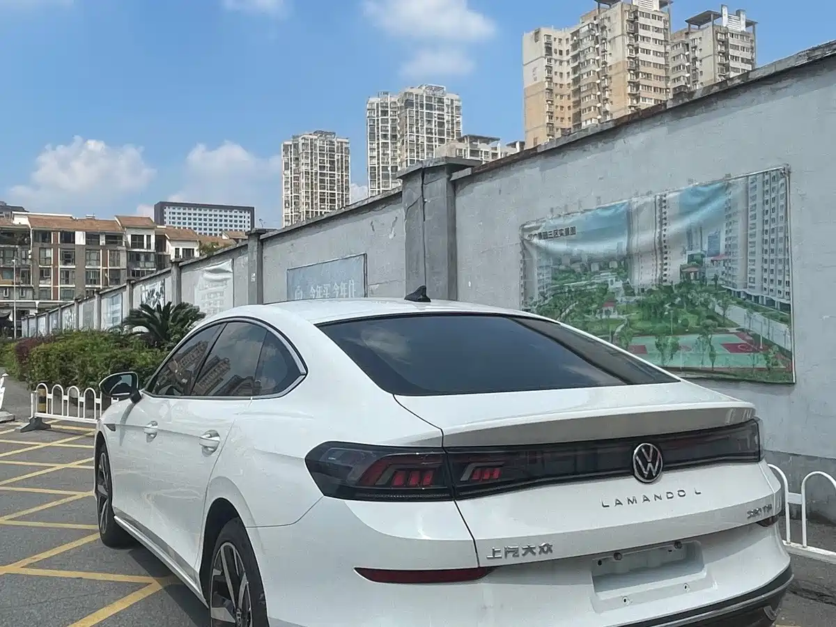 Volkswagen Lamando, миниатюра 7