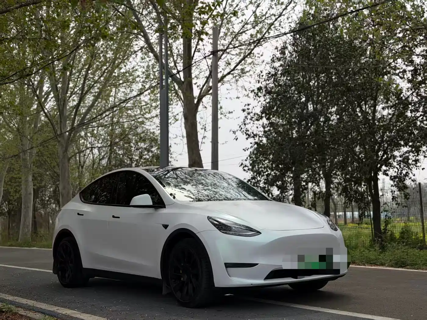 TESLA MODEL Y