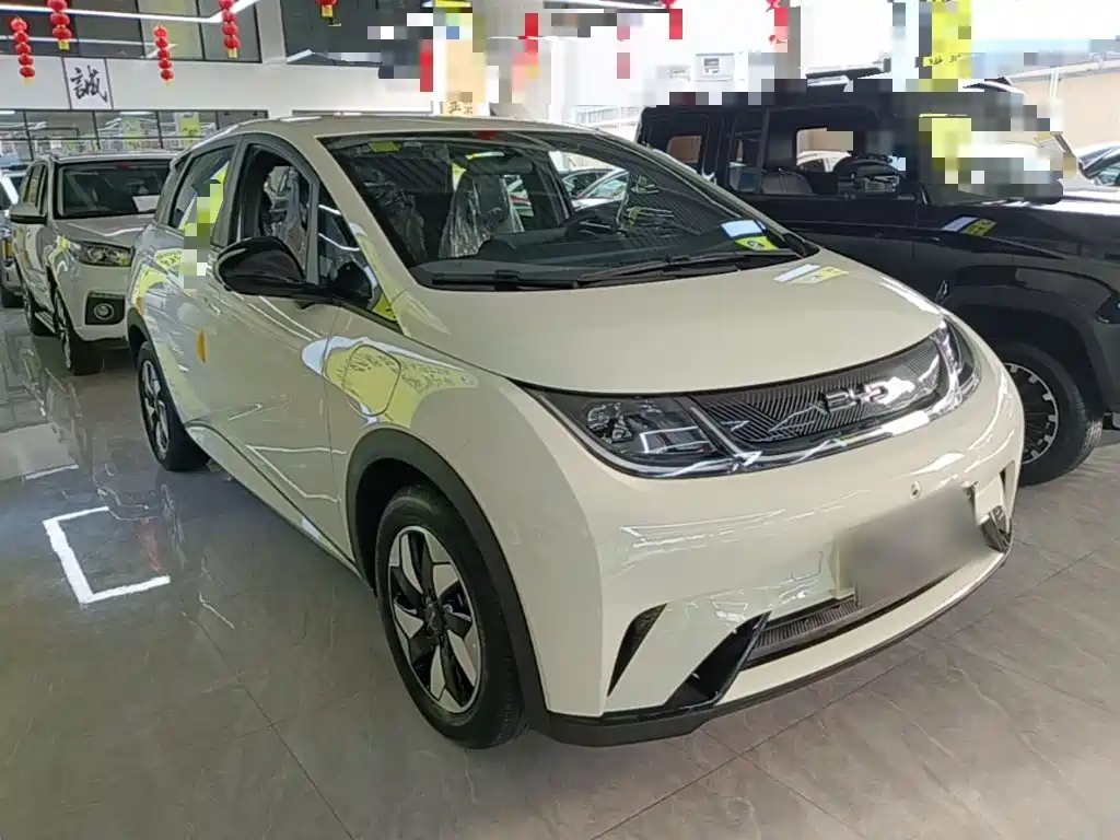 BYD Dolphin 2026 2025 420km Freedom Edition