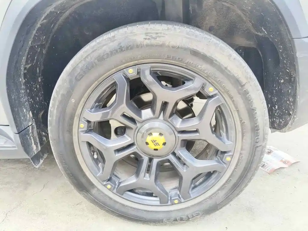 Jetour Shanhai T2 2024 2024 C-DM 208KM Wilderness Edition
