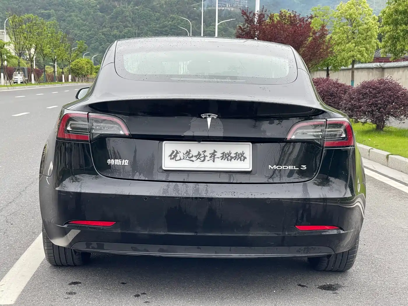TESLA MODEL 3