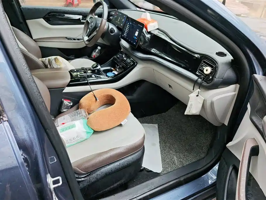 BYD Qin PLUS 2024 Glory Edition DM-i 55KM Leading фото 8