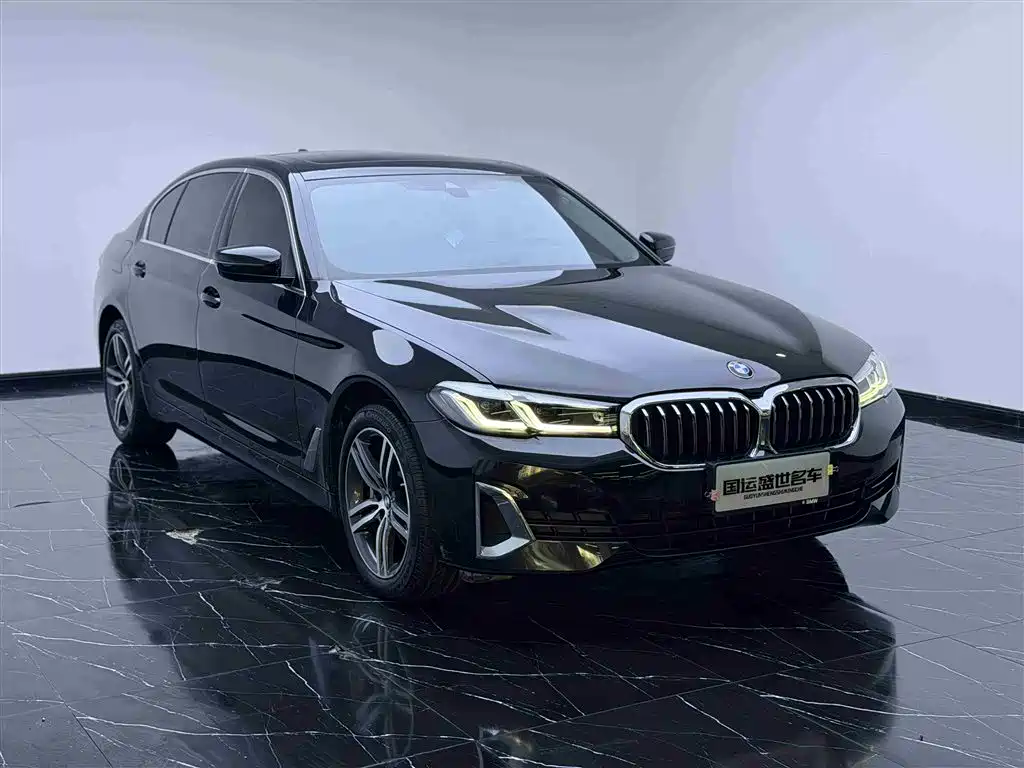 BMW 5 Series 2021 530Li Leading Luxury Package фото 3
