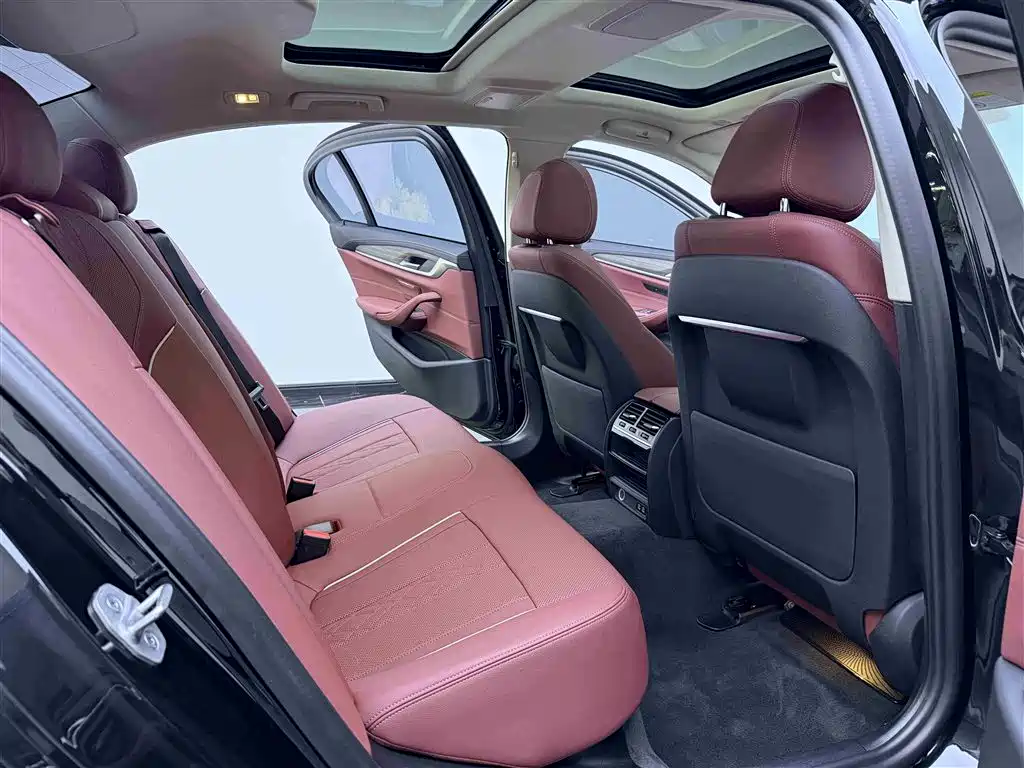 BMW 5 Series 2021 530Li Leading Luxury Package фото 11
