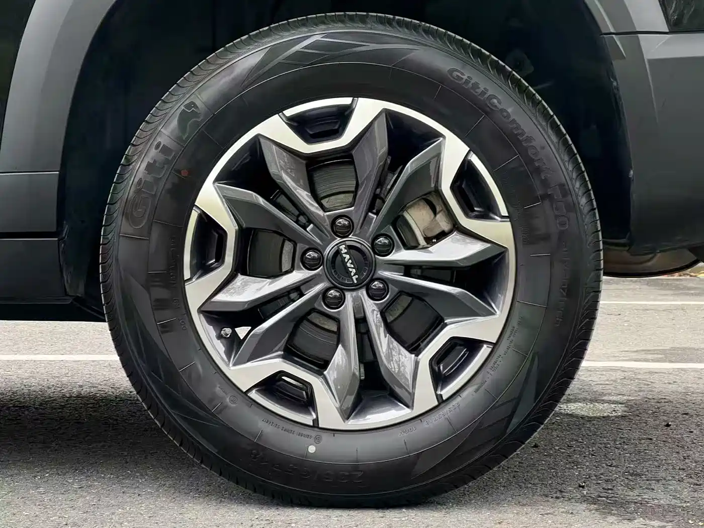 Haval Big Dog 2024 2.0T DCT Chinese Rural Dog Edition фото 10
