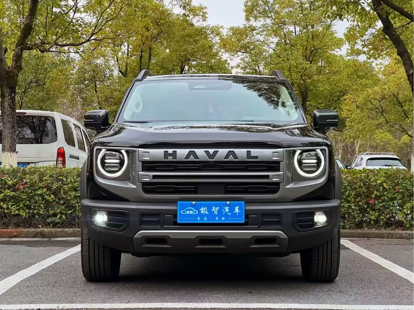 Haval Big Dog 2024 2.0T DCT Chinese Rural Dog Edition фото 2