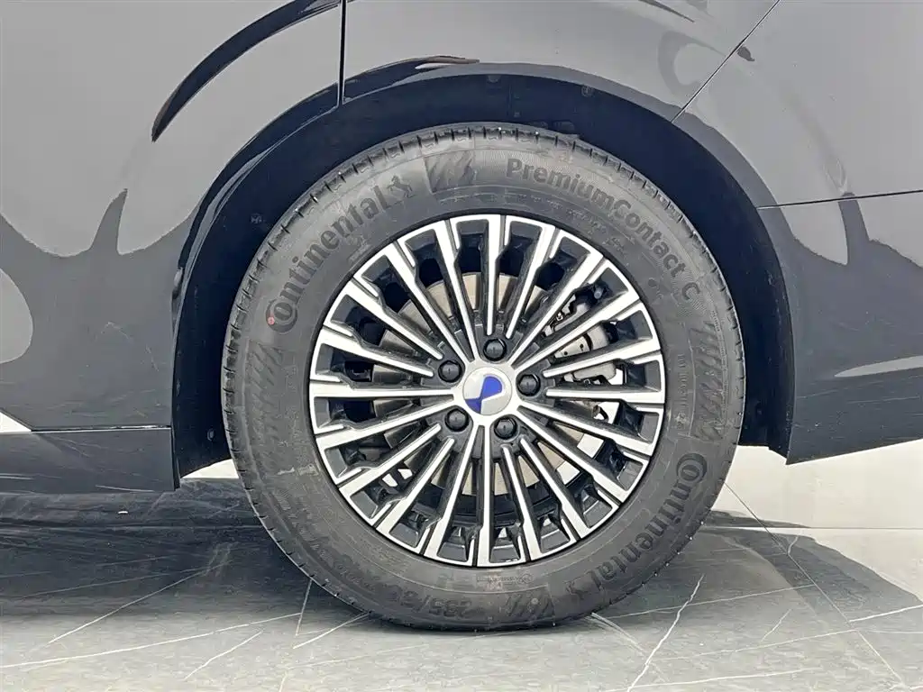 Denza D9 2024 DM-i 980 AWD Premium фото 27