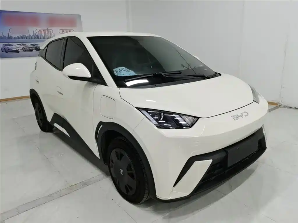 BYD Seagull 2025 305km Vitality фото 22