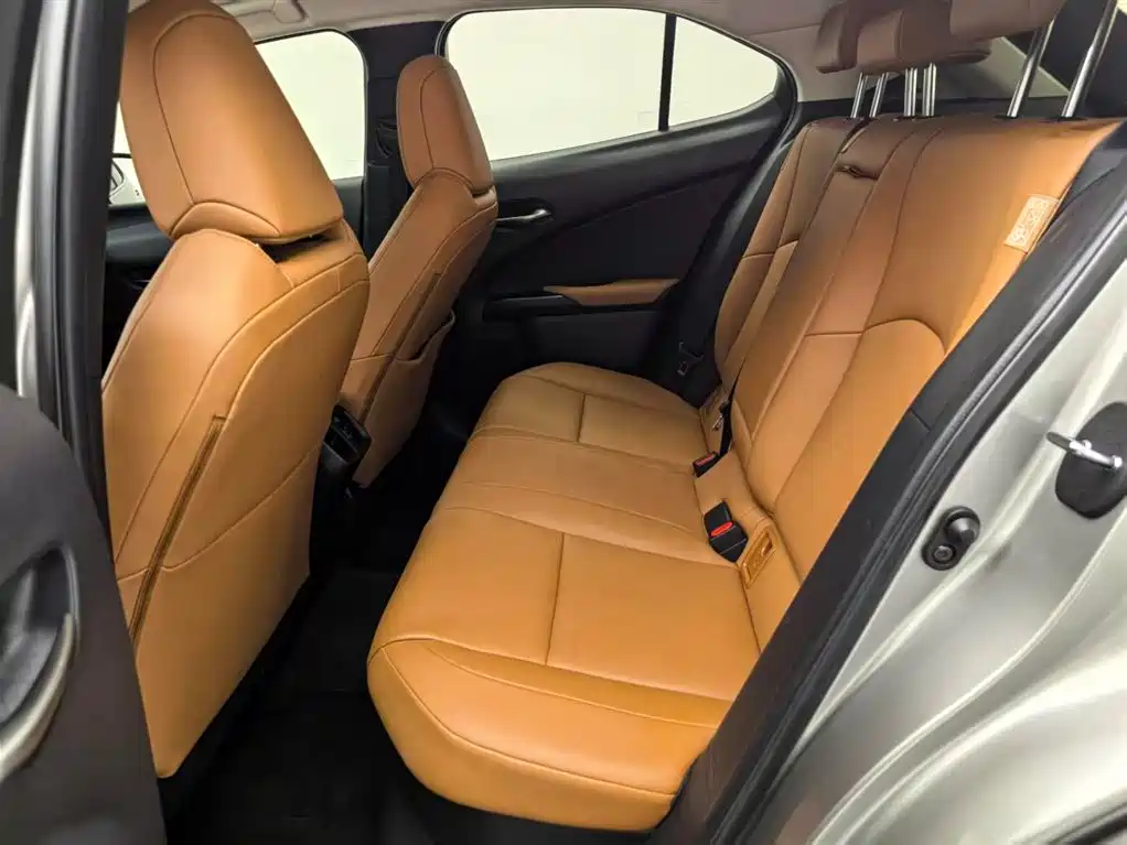 Lexus UX 2020 260h Explore Cool Edition фото 10