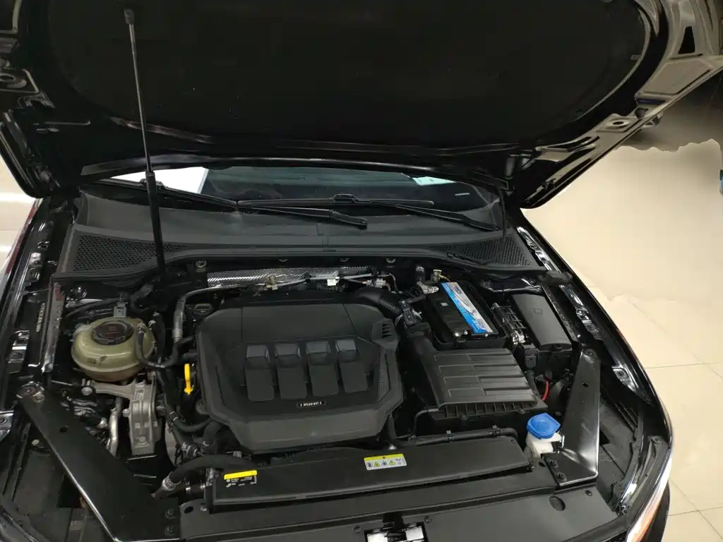 Volkswagen Magotan 2020 330TSI DSG Luxury 16