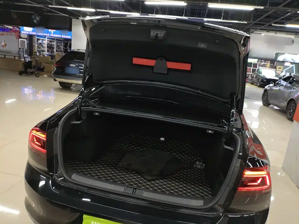 Volkswagen Magotan 2020 330TSI DSG Luxury 15