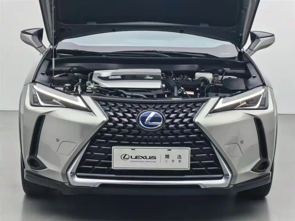 Lexus UX 2020 260h Explore Cool Edition фото 3