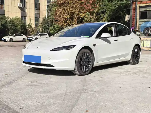 Tesla Model 3 2025 Model Rear-Wheel Drive Edition