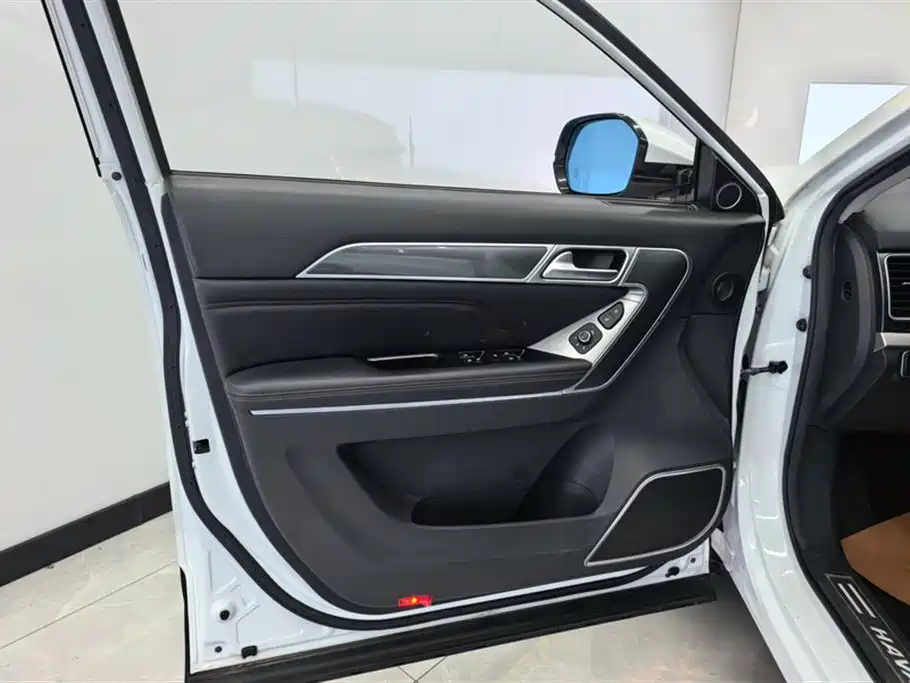Haval H6 Coupe 2018 Blue Label 1.5T Auto 2WD Luxury Edition фото 7