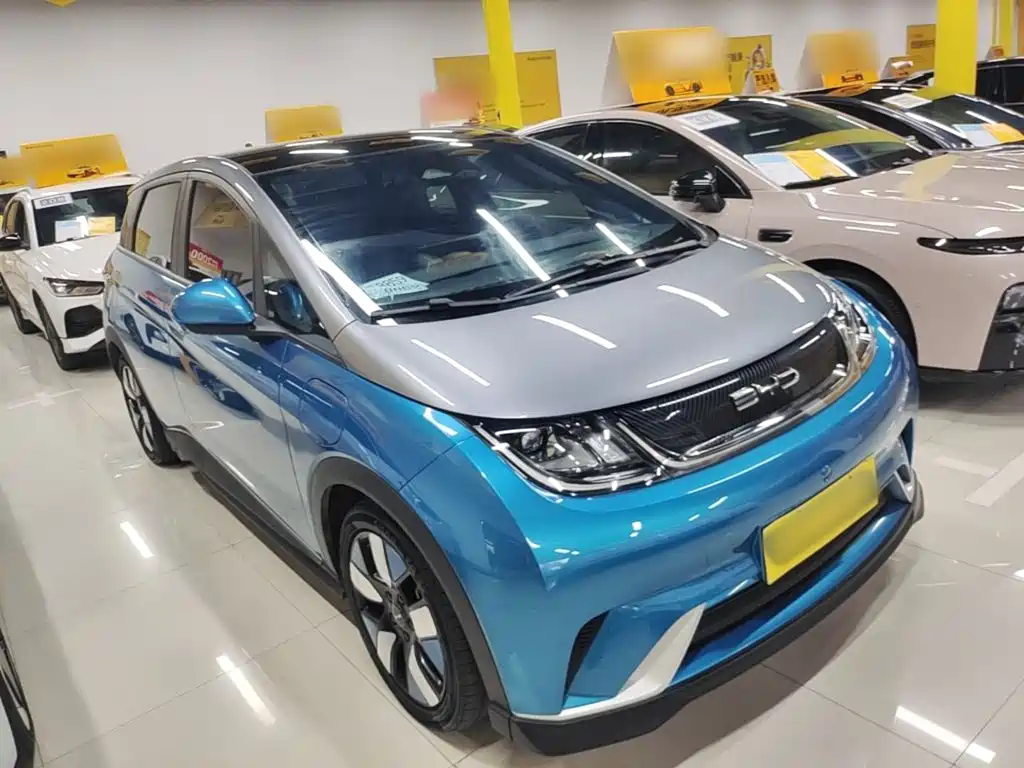 BYD Dolphin 2022 2021 401km Knight Edition