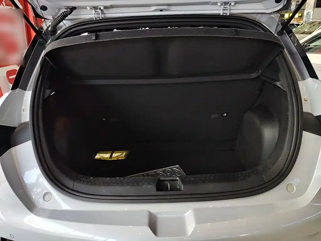 BYD Dolphin 2021 2021 Model 405km Fashion Edition