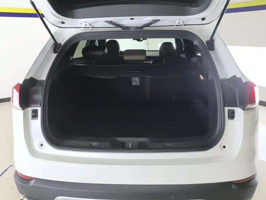 Haval H6 2017 Blue Label 2.0T Auto 2WD Leader фото 4