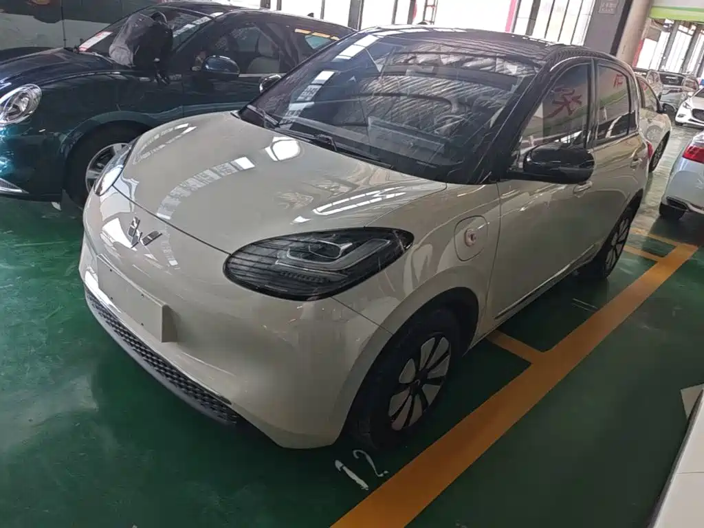 Wuling Motors Wuling Bingo 2023 Model 333km Joy+ Version
