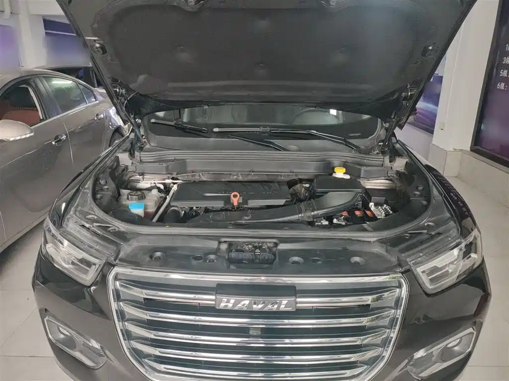 Haval H6 2020 1.5GDIT Automatic Platinum Champion Edition фото 16