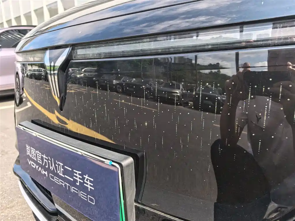 Voyah Auto Voyah Zhiyin 2025 Base фото 5
