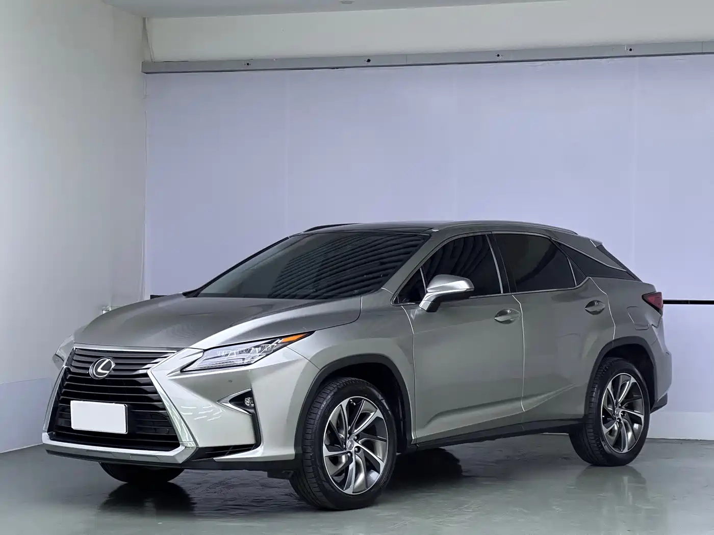 Lexus RX 2015 2016 300 4WD Elegance Edition (China V)