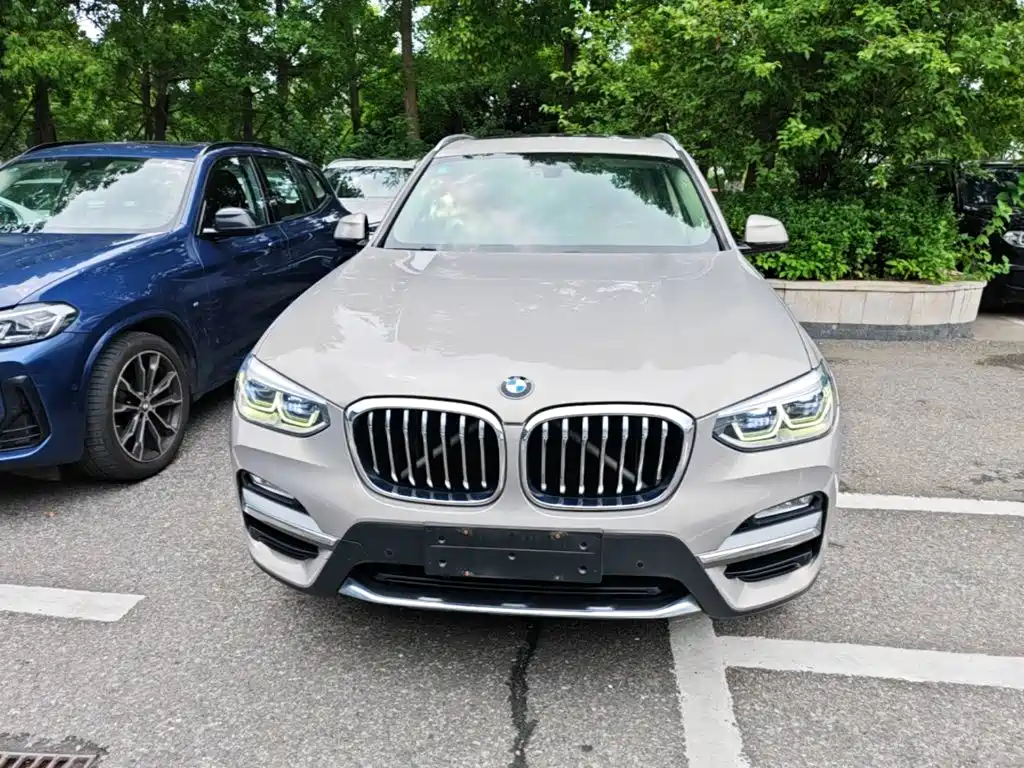 BMW X3 2018 2018 xDrive25i Luxury Package China V