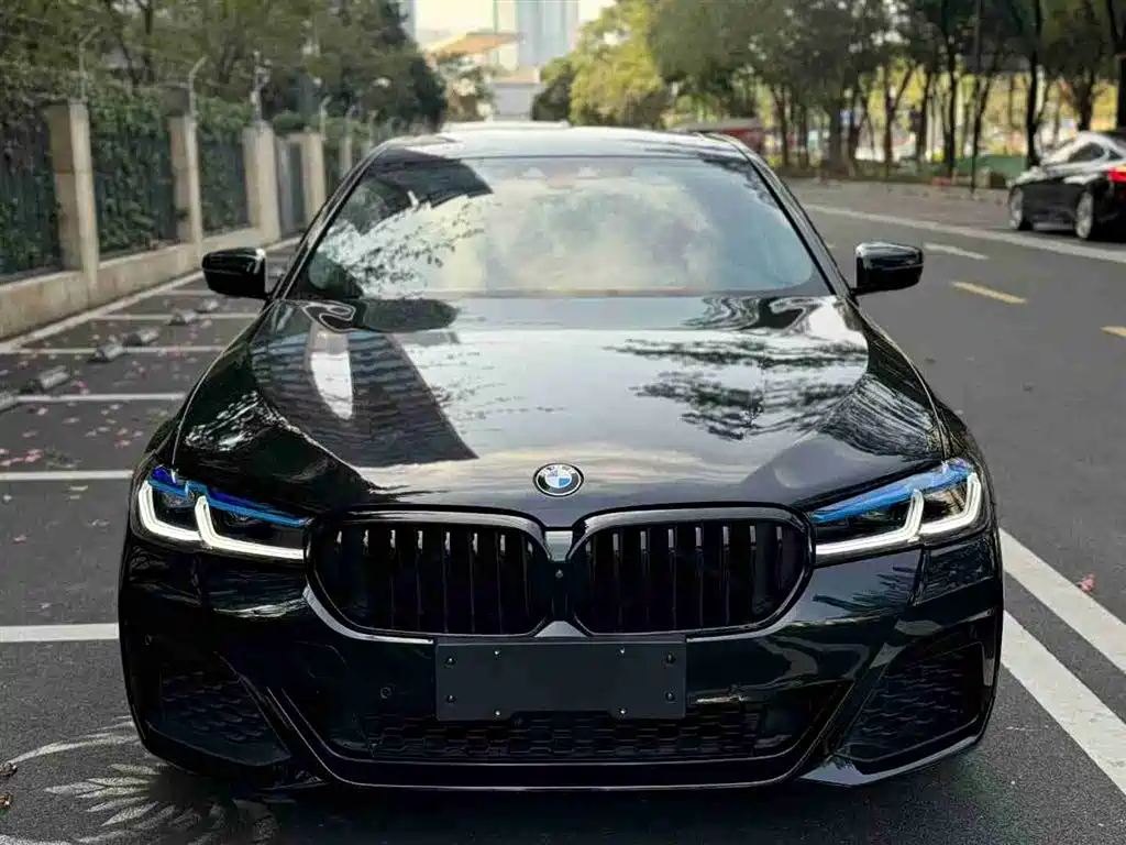 BMW 5 SERIES