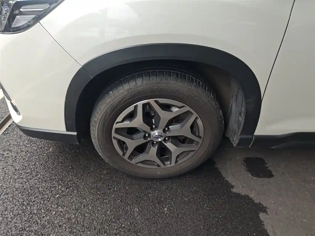 Subaru Forester 2020 2.0i Luxury Edition EyeSight фото 23