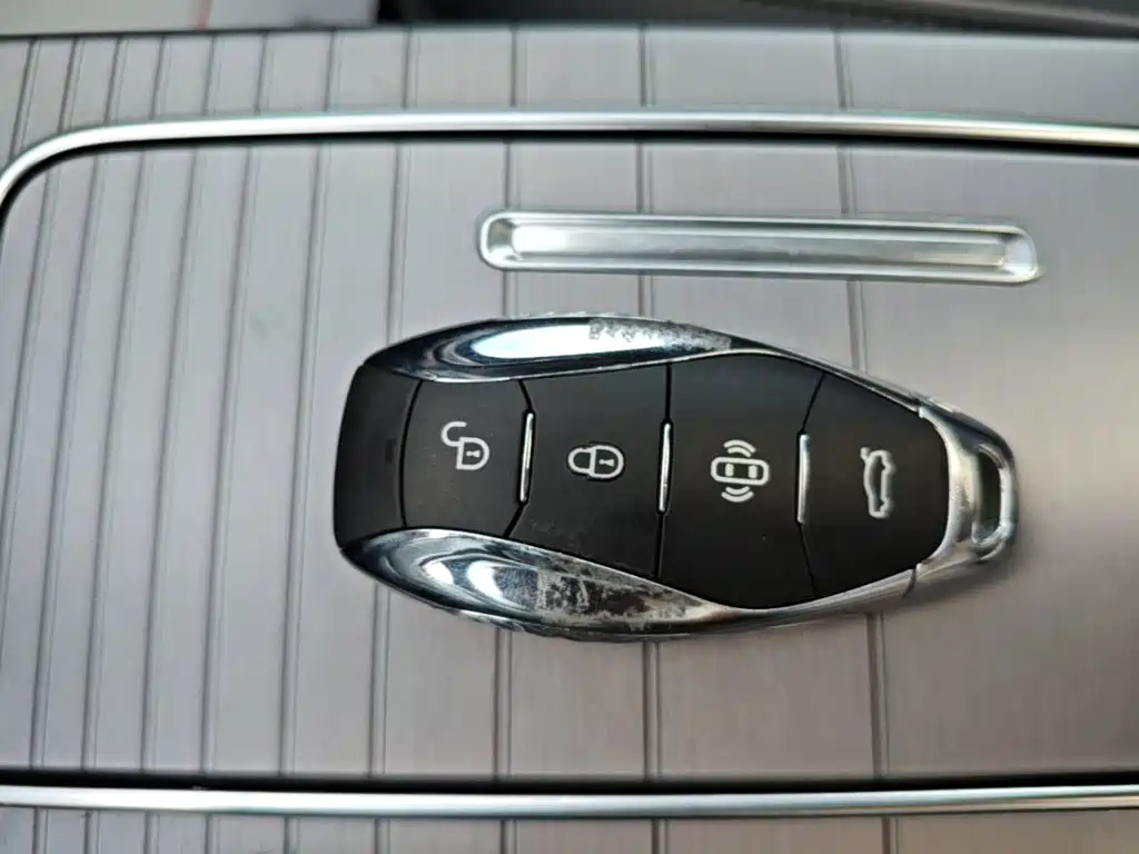 Photo 9 - Hongqi HS7 PHEV