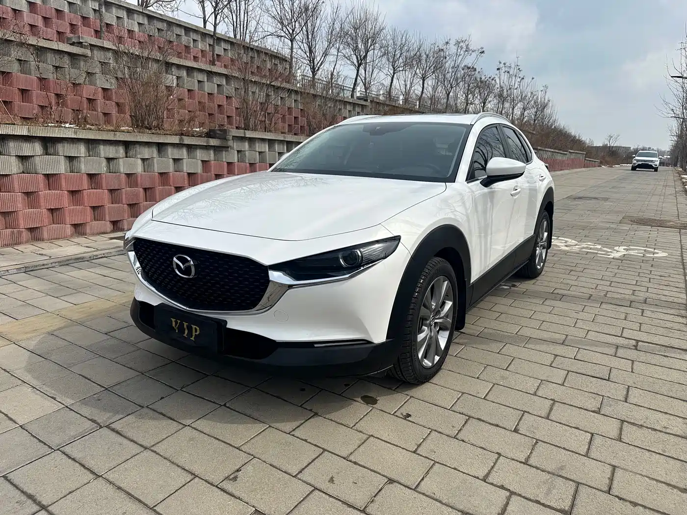  CX 30